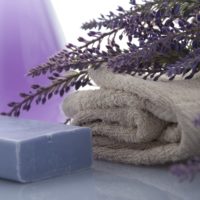 lavender violet