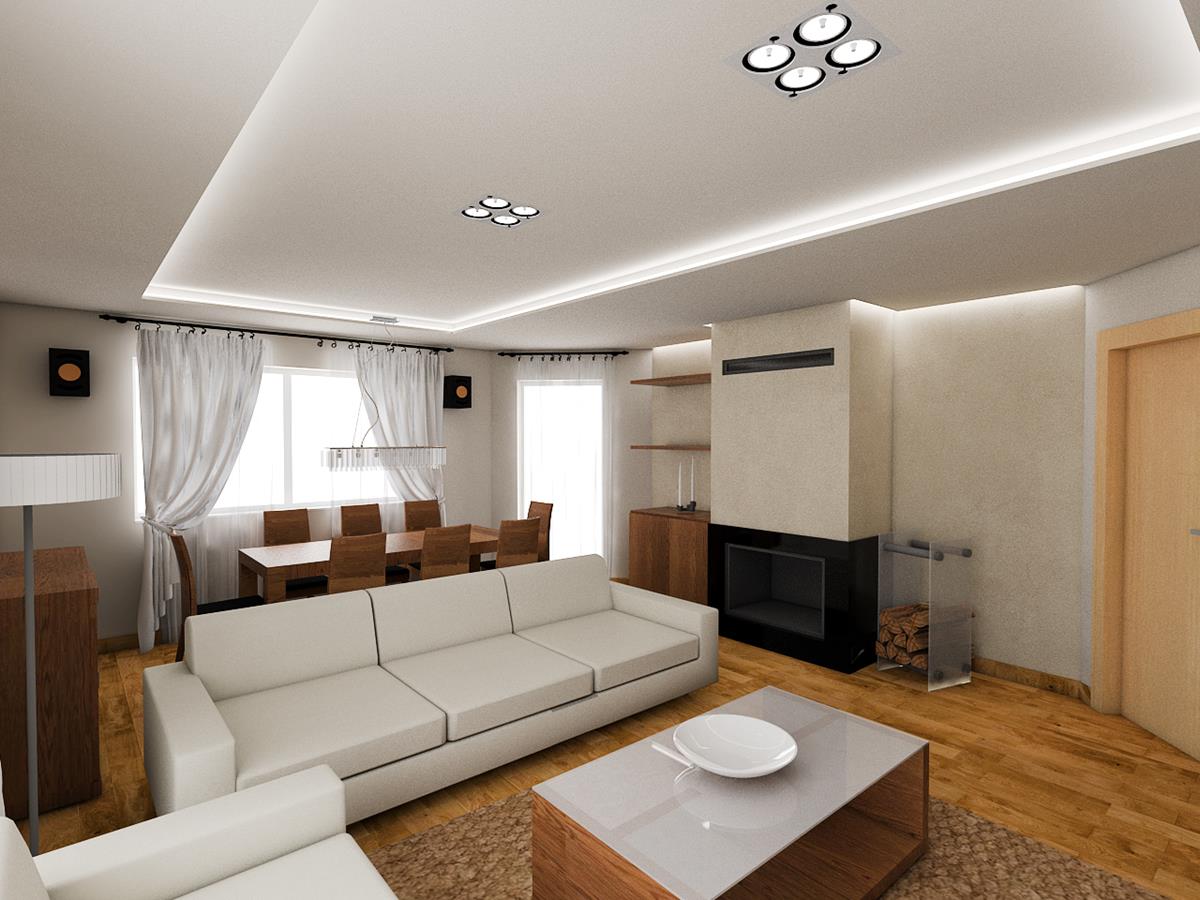 projekty domów z wnętrzami salon